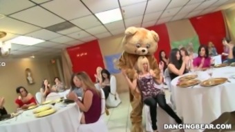 340px x 192px - Dancing bear porn videos - Beeg